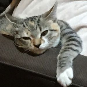 Meet your Posher, Jack